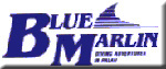 Blue Marlin