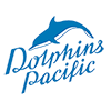 Dolphins Pacific